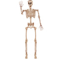 5.6ft Halloween Posable Life Size Skeleton Full Body Realistic Bones with Movable Joints (1)